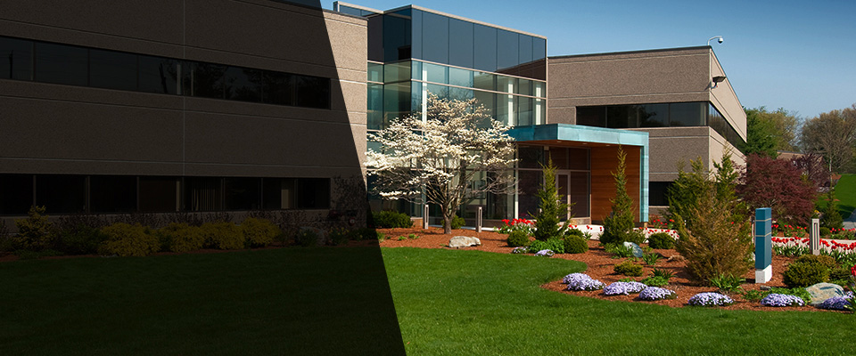 Wauchula Landscapers