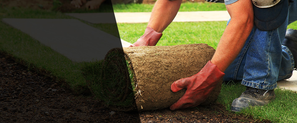 Wauchula Landscapers